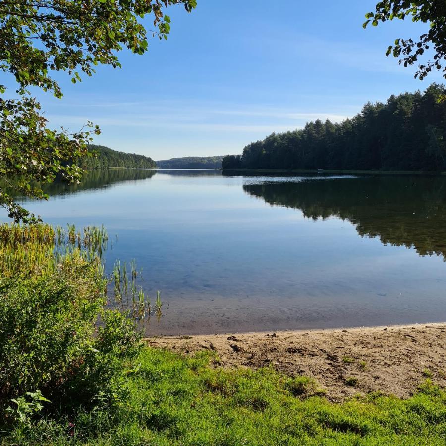 Dom Na Wczasowej Kaszuby Z Balia Z Jacuzzi I Sauna Golubie Extérieur photo